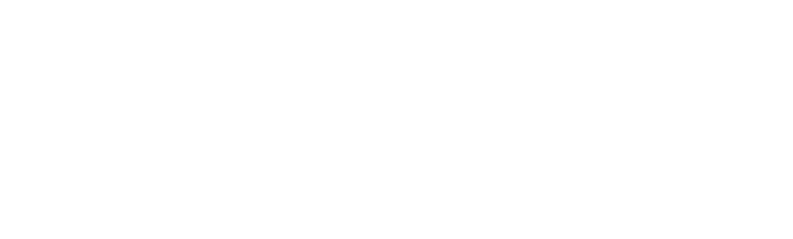 Veladzo Logo